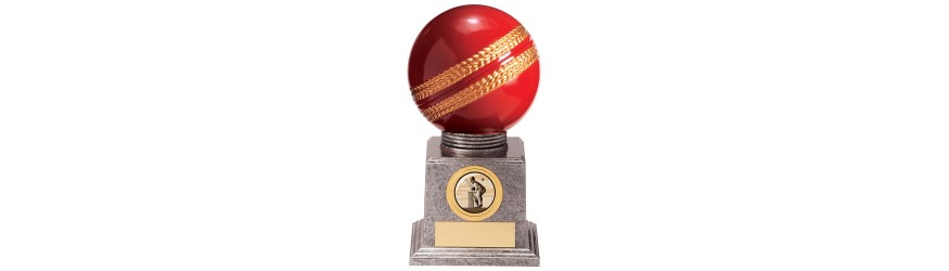 VALIANT LEGEND CRICKET AWARD - 115MM - 175MM